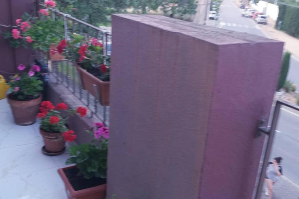 פאלאפרוג'ל Apartamento Vacaciones מראה חיצוני תמונה